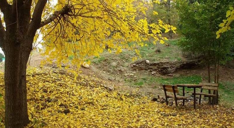 بهترین پارک های جنگلی تهران