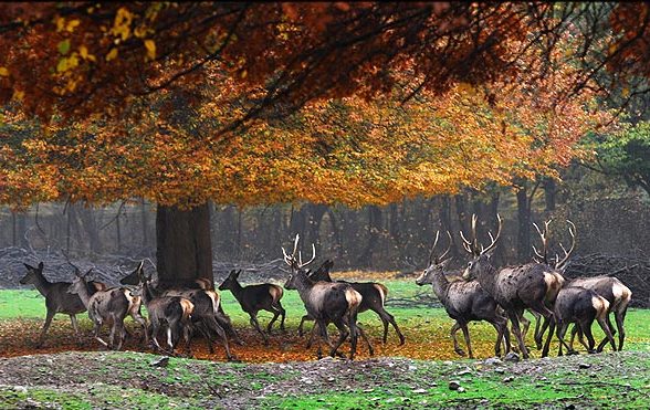 بهترین مکان های تفریحی گلستان